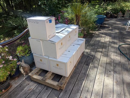 A stack of wine boxes, on a redwood deck. The wine bottles are empty, about to be filled with 2024 Pinot Noir from Russian River Valley in California.