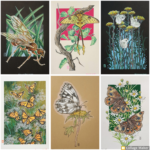 A photo collage of some of my insect art:
A winged ant, a Madagascar moon moth, cabbage white butterflies, monarch butterflies, a marbled white butterfly and common buckeye butterflies.