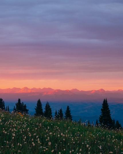 Photo by Nevin Johnson on May 22, 2025. May be an image of Indian paintbrush, nature and text.