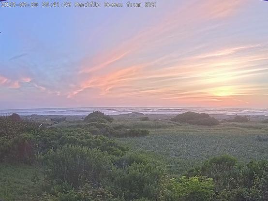 Sunsets have been very beautiful around here lately. Just up the coast, this National Park Service web camera image shows off the sunset colors seen from the Kuchel Visitor Center in Redwood National and State Parks. Pinks, oranges, peaches, yellows, greys, and whites can be seen in the clouds, which stream across a blue sky. Pacific Ocean waves roll towards the coast in the center. The greens of the vegetation in the foreground mingle with the greys of the temporarily beached driftwood. Thanks to the Redwood Parks Conservancy for supporting these cameras.