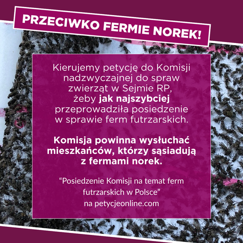Fioletowo-biało-różowa grafika – w tle zdjęcie lepu na muchy prawie całego zalepionego muchami, na górze różowa ramka z białym napisem „Przeciwko fermie norek!” Na środku, pierwszym planie półprzezroczysta, różowa ramka z białym napisem „Kierujemy petycję do Komisji nadzwyczajnej do spraw zwierząt w Sejmie RP, żeby jak najszybciej przeprowadziła posiedzenie w sprawie ferm futrzarskich.
