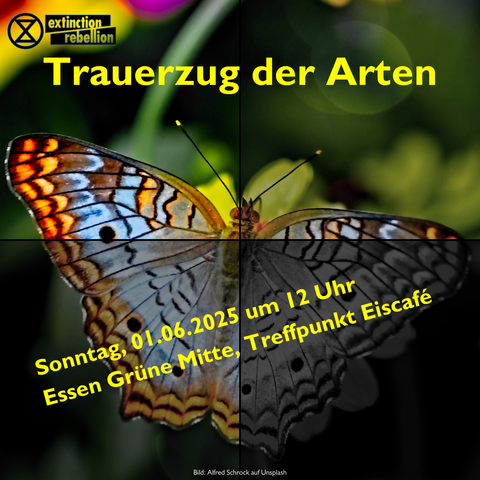 Ein quadratisches Bild mit einem Schmetterling. Das Bild ist in 4 Quadranten aufgeteilt, die von oben links nach unten rechts immer dunkler werden. Oben in der Mitte prangt der gelbe Text "Trauerzug der Arten. Schräg über die beiden unteren Quadranten stehen Ort und Zeit der Veranstaltung. Links oben außerdem das Logo von extinction rebellion in schwarz.