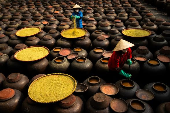 Amid rows of earthenware jars, two artisans are captured in a moment of focused tradition—stirring, sprinkling, and nurturing the fermentation process that gives rise to Vietnam’s beloved condiments. This visually rhythmic scene, taken in Hanoi, honors both the labor and legacy of culinary craftsmanship.