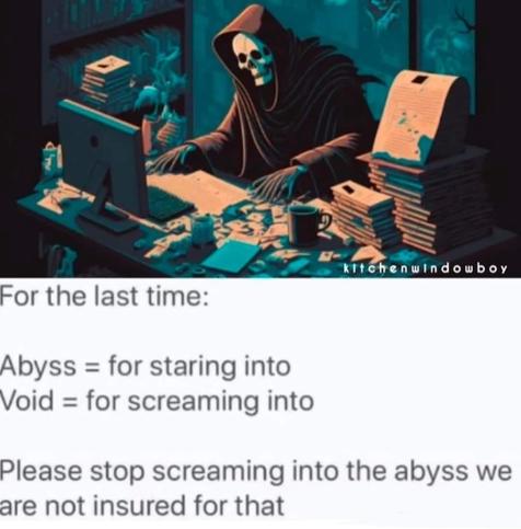 For the last time: 

Abyss = for staring into 
Void = for screaming into 

Please stop screaming into the abyss we are not insured for that
