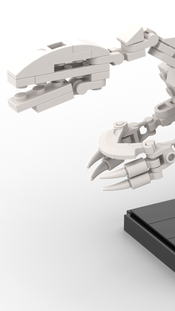 A fossil mid sized, bipedal dinosaur, with really large hand claws (relative to its size)