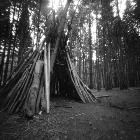 A clearing in the forest where kids have built a wooden den by leaning large straight branches / felled tree trunks up against a standing tree