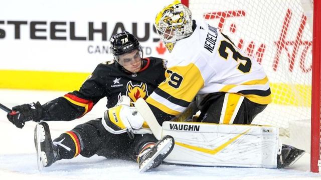 Penguins try to target a valuable flame