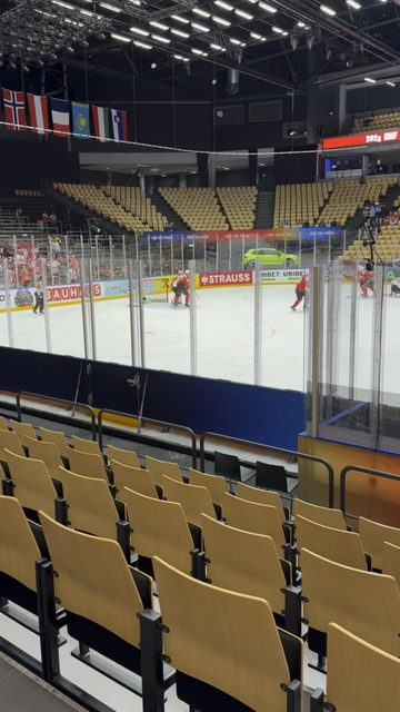 Siegs riles the Austrians