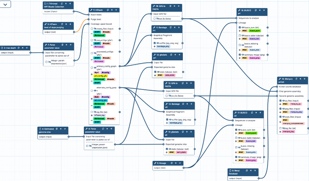 Genome assembly workflow
