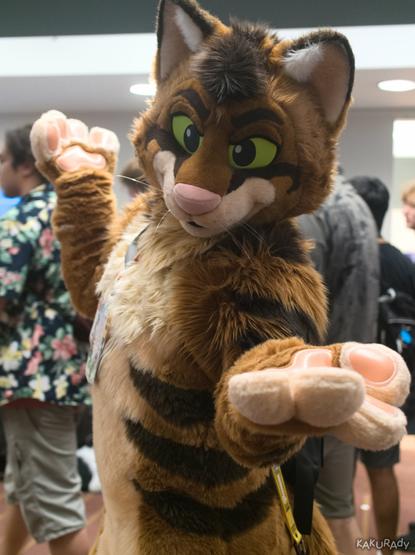Brown tabby cat fursuiter with green eyes and inner eyebrows squeezed
