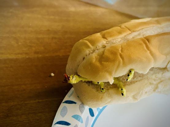 A green Dilophosaurus with brown spots lies inside of a hot dog bun on top of a paper plate adorned with a floral pattern. All are atop a a brown table.
