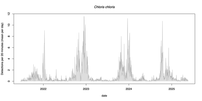 A graph of the songs and calls of the greenfinch, between June 2021 and May 2025. The y-axis is how many times in 15 second intervals this species was detected per 20-minutes. The detections for house sparrow peak in summer months each year. 

The graph is made from recordings in our graden with an AudioMoth processed through BirdNet then graphed using R.