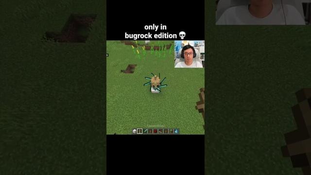 Minecraft Dancing Armor Stand Moment