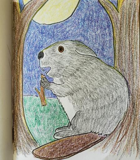 Pen and colored pencil illustration of a beaver-like creature in the moonlight, sitting between two trees and gnawing on a branch. The creature has grey fur and  the back feet of a rabbit, as well as relaxed rabbit ears.