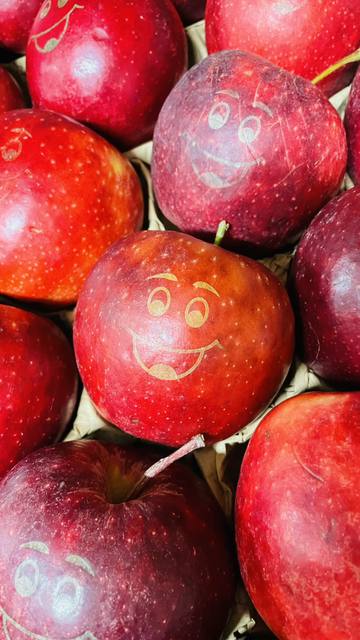 Roter Apfel mit einem gelaserten Smilie-Gesicht vom Herzapfelhof Lühs, Jork