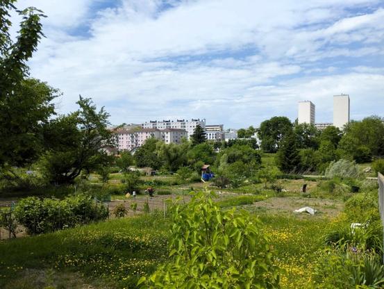 Au premier plan un jardin populaire, en fond une cité-dortoire.