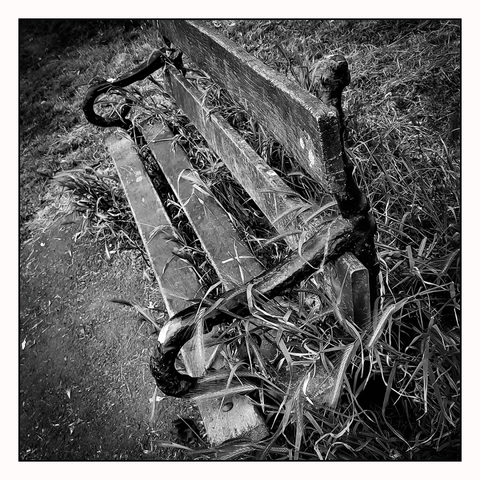 A wooden park bench with metal curved armrests is seen at an angle from above, it's surrounded by and partially covered in long wild grass.