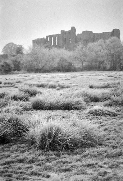 Portrait format black and white photo. In the foreground are bunches of reeds, symptoms of sligtly boggy ground, covered in hoar frost. Further back are frost-covered winter trees, and behind them in the upper quarter are the ruins of Kenilworth Castle. The sky is blank: foggy, I think.