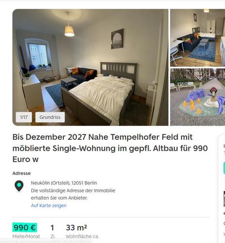 Screenshot Anzeige: Wohnung 33 m² für 990 Euro
