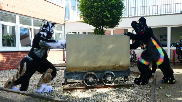 Photo of a wolf fursuiter with black, gray, and brown fur, and a black jaguar fursuiter with rainbow stripes, trying to push a minecart in opposite directions while looking at the camera. The cart is a decoration standing on a short piece of track in front of the Furciety venue.