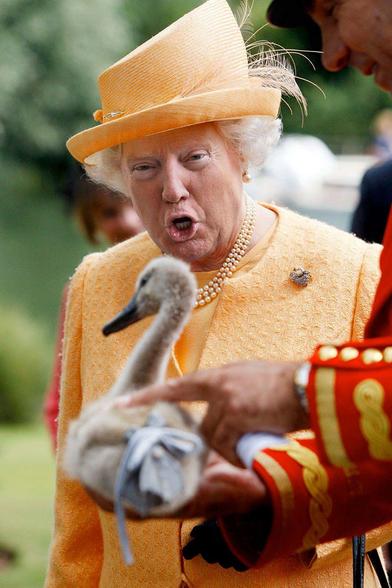 The #AngryOrangeWotsit is #InDisguise...