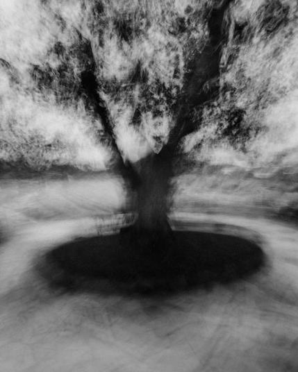 photography by al keddie