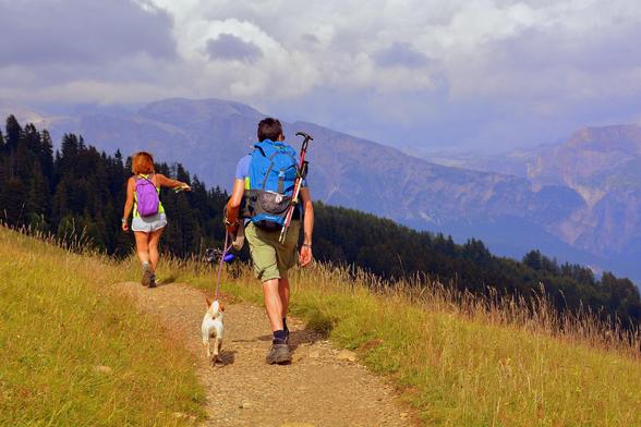 Wandern mit Hund