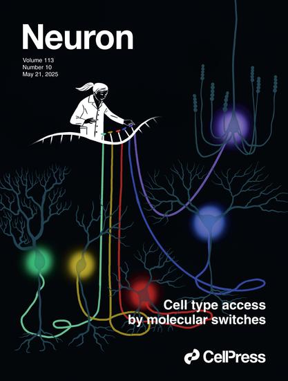 Cover of journal Neuron shows a female scientists turning lamp-like neurons on and off
