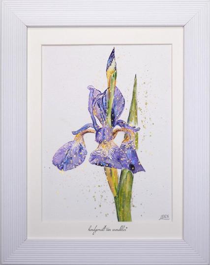 Gerahmte Illustration lila iris