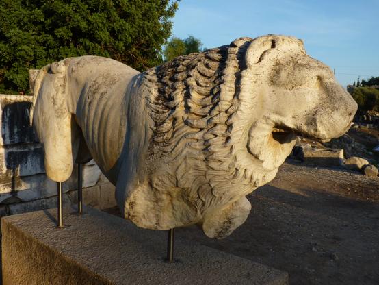 lion sculpted in marble, Temple of Apollo, Didyma.
evening light.