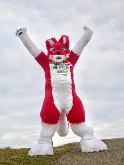 A red and white doggo fursuiter looking at the viewer with his arms up in the air with a happy expression.
