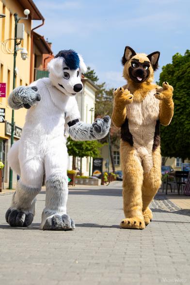 Fursuiters posing in a square for the cameraman.