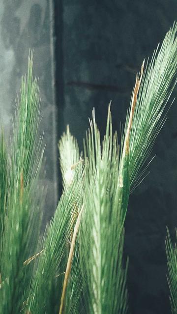 Grain in front of grey steel.