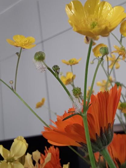 Close-up of yellow and orange flowers, including buttercups and marigolds. Some white foam is visible on a flower stem.