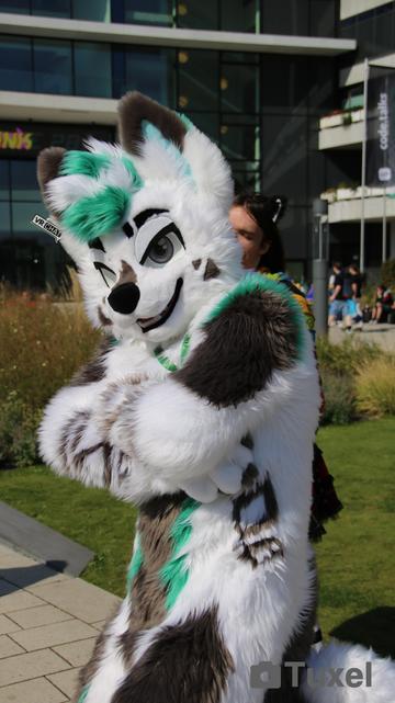 The Canine Sefu in front of the Venue of Eurofurence Crossing his arms