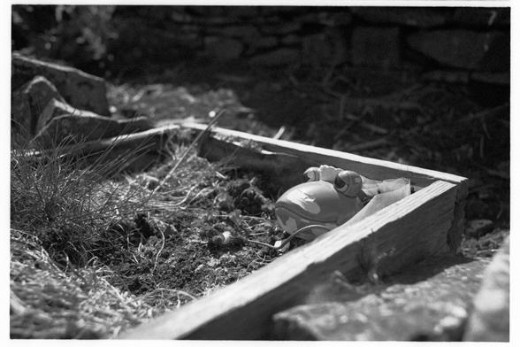 A ceramic frog head in a box in a garden