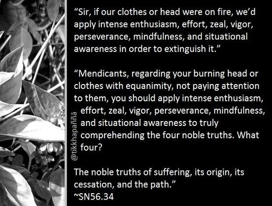 “Sir, if our clothes or head were on fire, we’d apply intense enthusiasm, effort, zeal, vigor, perseverance, mindfulness, and situational awareness in order to extinguish it.”
“Mendicants, regarding your burning head or clothes with equanimity, not paying attention to them, you should apply intense enthusiasm, effort, zeal, vigor, perseverance, mindfulness, and situational awareness to truly comprehending the four noble truths. What four?
The noble truths of suffering, its origin, its cessation, and the path.”
~SN56.34