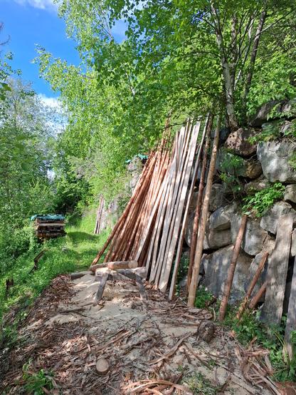 Freshly debarked wooden slats are leaned upright against a stone retaining wall in a forested area. Some slats are divided in two slats. The poles are long and straight, with smooth reddish-brown surfaces from recent bark removal. In front, a wooden sawhorse holds a log, and the ground is covered with a thick layer of bark shavings. Dense green foliage surrounds the scene, with tall birch and other leafy trees overhanging the narrow grassy path that runs alongside the work area. Stacked wooden pallets are visible in the background on the left sheltered by a green tarp.