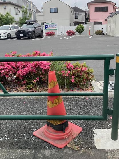 A weathered traffic cone stands near a green railing, surrounded by vibrant pink flowering bushes. In the background, parked cars are visible, along with a white building and a sign indicating parking instructions. The scene has an urban setting with overcast skies.