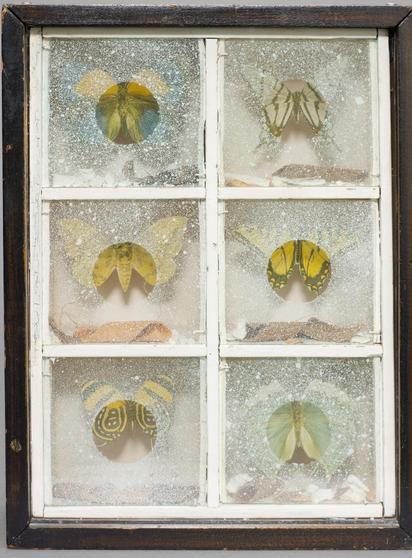 A white wooden box with a grid of six squares shows rows of 2 butterflies or moths, with speckled glass on top. Each cell has a clear circle with no speckled white paint, which reveals more of the small butterfly or moth.