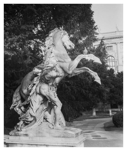 Black and white photograph of a stone statue between the Kunsthistorisches and Naturhistorisches Museum in Vienna. The statue depicts a human wrestling with a horse. The horse stands on its hind legs, its front legs in the air and turns its head away from the person trying to grab it. A pigeon sits calmly on the right front leg.