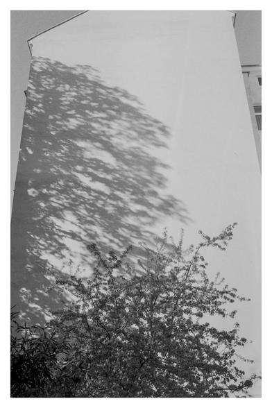 Black and white photograph of a house wall without a window on which the shadow of a light tree falls. In front of the wall is a smaller tree that seems to continue the shadow into organic life.