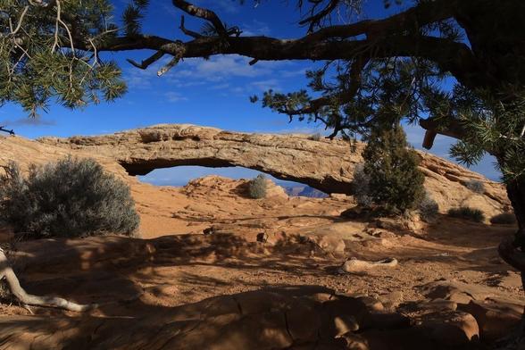 Rock arch formation framed by tree branch above and shrubs on either side of the arch. A blue sky with a few clouds can be seen in the background.