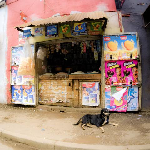 Un chien philosophe, un trottoir et une épicerie.
