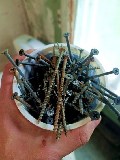 A mascarpone bucket full of wood screws. They're mostly gray with some rust on them. The heads are countersunk Philips, although the Pozidriv bit gripped them better than the Philips, so perhaps they're unmarked Pozidrivs, something I've seen on a lot of Chinese eqipment.