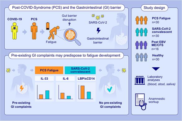 Screenshot of graphical abstract