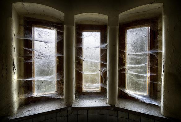 3 Fenster mit Spinnenweben