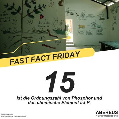 In der oberen Hälfte des Bildes ist ein Foto eines Raumes, an dessen weißer Wand Bilder von Pflanzen, Stoffkreisläufen und Elementen geschrieben sind. Darunter ist der Text "Fast Fact Friday - 15 ist die Ordnungszahl von Phosphor und das chemische Element ist P." und das Logo von ABEREUS.