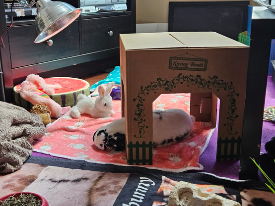 Bunny is lying with head and neck warming