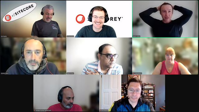 Screenshot of attendees on the May 23, 2025 #SitecoreLunch call.